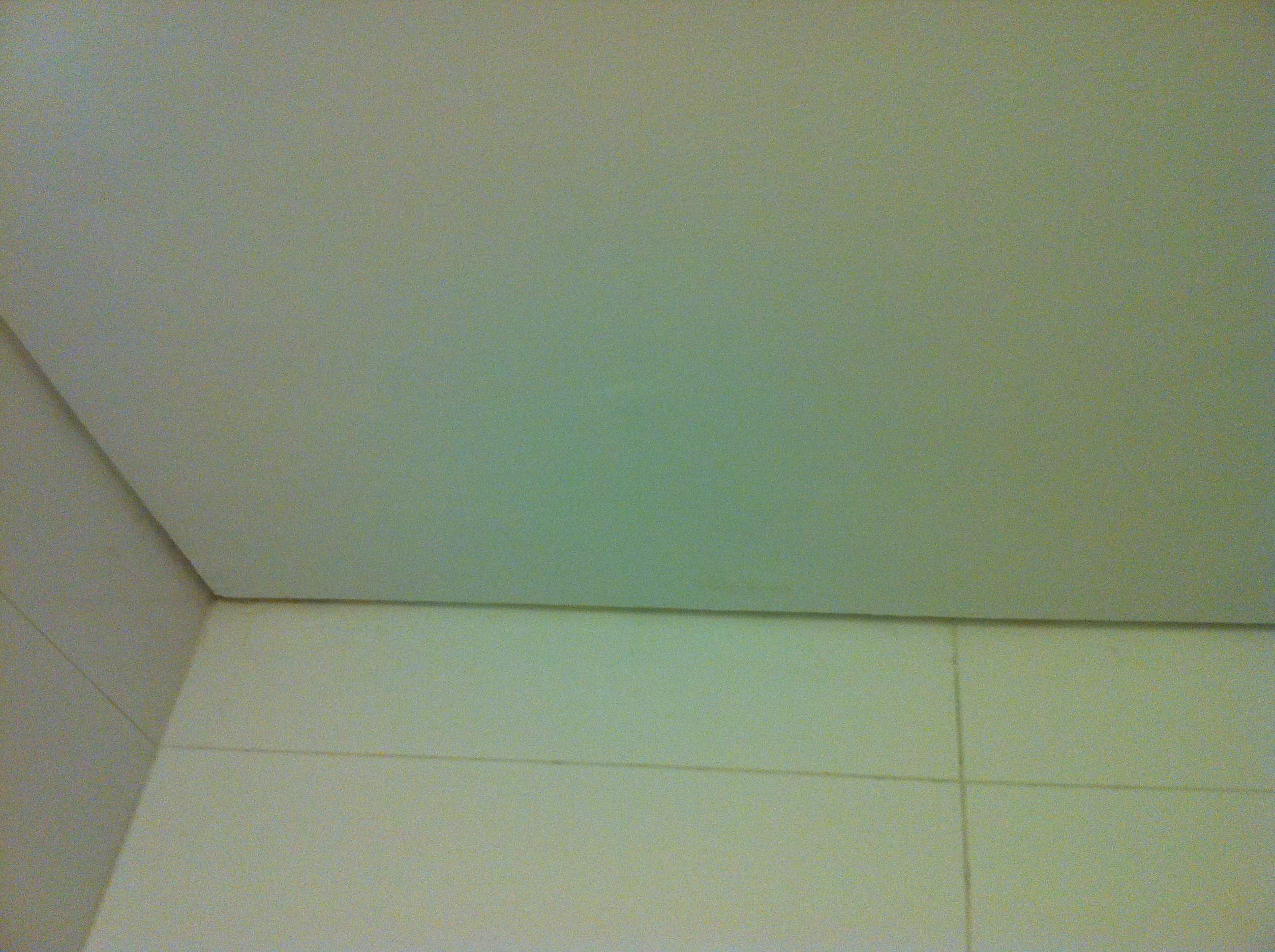 Clean restored ceiling after mould-damaged ceiling repainting in a Chatswood property